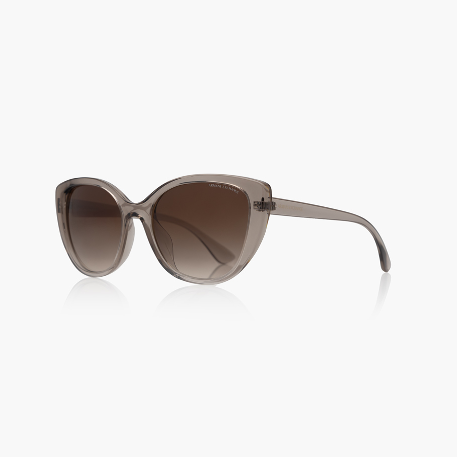 Сонцезахисні окуляри ARMANI EXCHANGE AX 4111SU 824013 54-Фото-15 https://opticaluxor.ua
