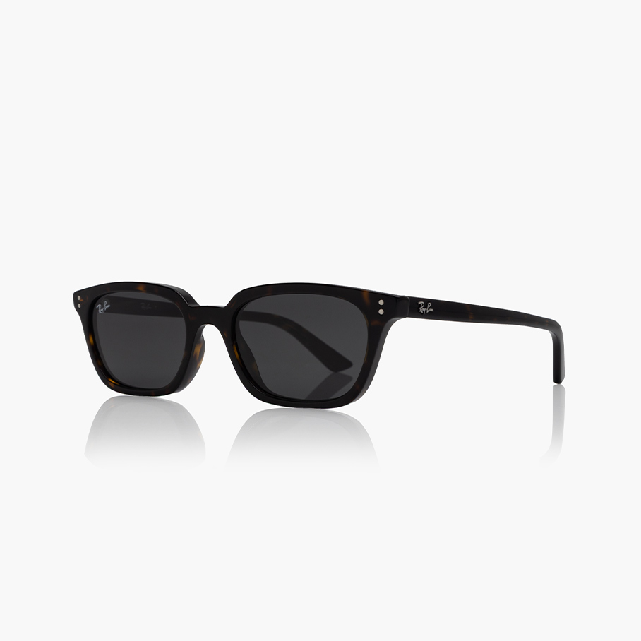 Сонцезахисні окуляри Ray-Ban RB 4456 135987 53-Фото-13 https://opticaluxor.ua